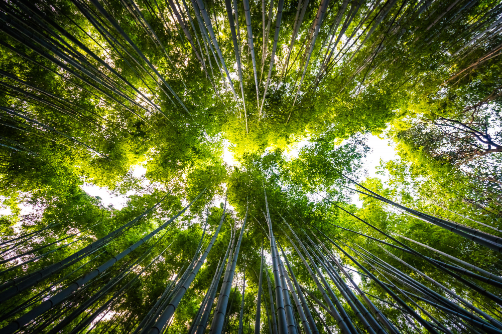 Notre démarche ESG