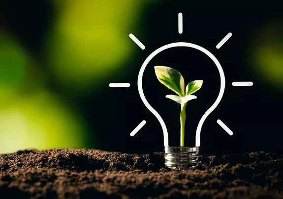 Responsabilite environnementale